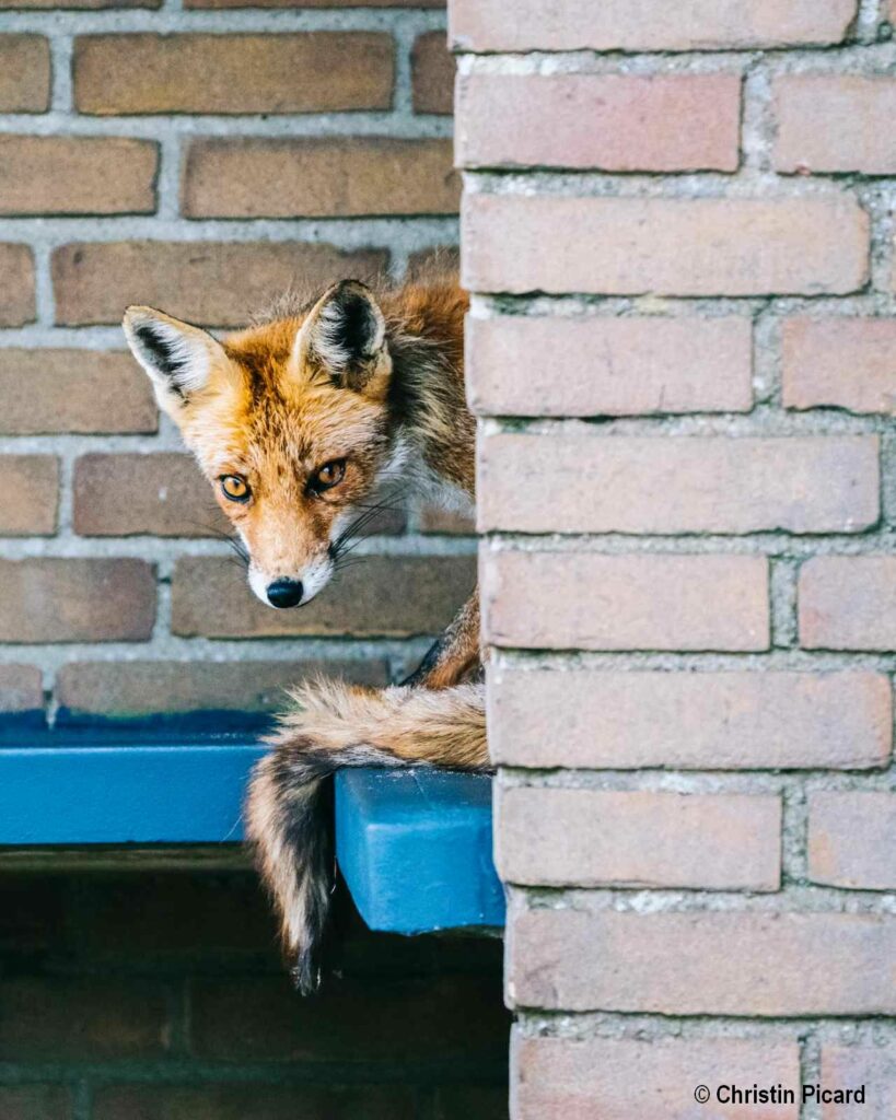 waiting for the bus